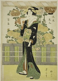 Fashionable Beauties in a Chrysanthemum Garden (Furyu bijin kikubatake) by Kikukawa Eizan