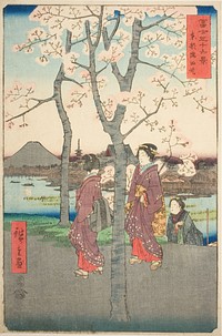 The Sumida Embankment in the Eastern Capital (Toto Sumida zutsumi), from the series "Thirty-six Views of Mount Fuji (Fuji sanjurokkei)" by Utagawa Hiroshige