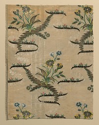 Fragment (Dress Fabric)