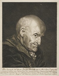 Portrait of Don Emanuel Desvalls by Jacob Matthias Schmutzer