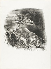 Wild Horse, or Frightened Horse Leaving the Water by Eugène Delacroix