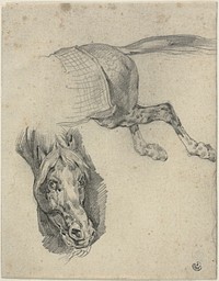 Head and Hindquarters of a Racing Horse by Jean Louis André Théodore Géricault