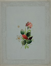 Untitled Valentine (Pink and White Flowers)