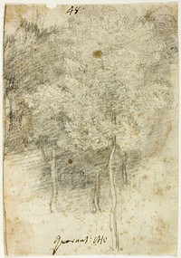 Grove of Trees by Federico Barocci