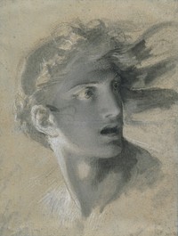 Head of Vengeance by Pierre Paul Prud'hon