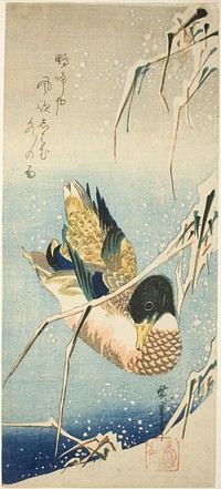 A Wild Duck Swimming by a Snow-covered Bank beneath Snow-laden Reeds by Utagawa Hiroshige
