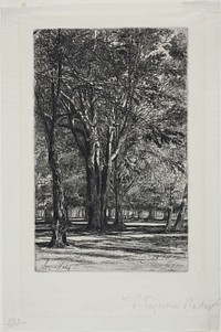 Kensington Gardens, No. II (large plate) by Francis Seymour Haden