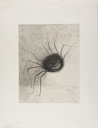 Spider by Odilon Redon