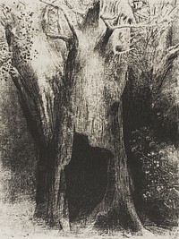 I Plunged into Solitude. I Dwelt in the Tree behind Me, plate 9 of 24 by Odilon Redon