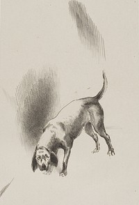 He [The Narrator's Dog] Kept His Eyes Fixed on Me With a Look So Strange, plate 3 of 6 by Odilon Redon