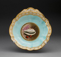 Plate by Worcester Porcelain Factory (Manufacturer)