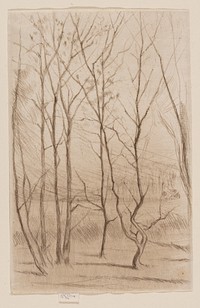 The Dam Wood by James McNeill Whistler