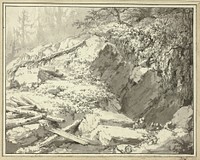 Mountainside with Fallen Tree by Friedrich-Wilhelm Gmelin