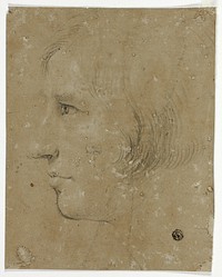 Profile of Male Head to Left by Unknown artist