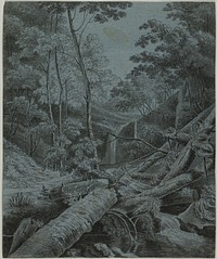 Waterfall and Fallen Logs in Forest by Unknown artist