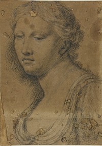 Bust of Woman by Girolamo da Carpi