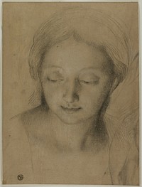 Head of a Woman by Antonio Cavallucci