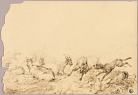 Mountain Goats and Dog by Allwaert of Ghent