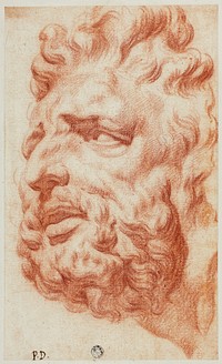 Head of Laocoon by Pietro Dandini