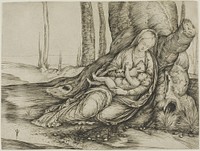 The Virgin and Child Reclining Against a Tree by Jacopo de' Barbari