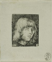 Head of a Young Man by Albrecht Altdorfer