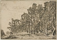 Landscape with Plank-Hedges and Man Bearing Wood by Willem Buytewech