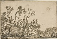 Landscape with Trees, Pond and Sheep by Willem Buytewech