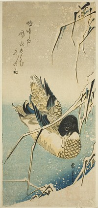 Ducks in snow by Utagawa Hiroshige