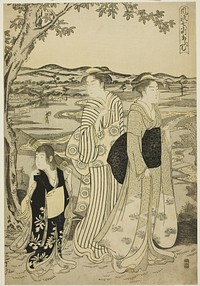 Parrot Komachi, from the series The Fashionable Seven Komachi (Furyu nana Komachi) by Chôbunsai Eishi