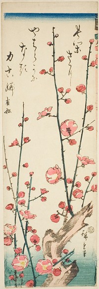 Blossoming plum branches by Utagawa Hiroshige