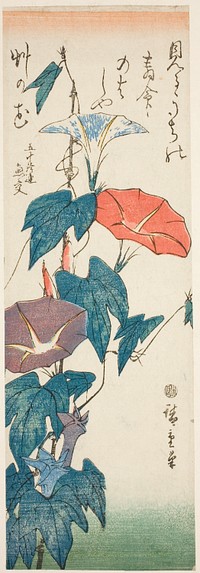 Morning Glories by Utagawa Hiroshige