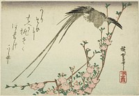 Long-tailed bird and peach blossoms by Utagawa Hiroshige