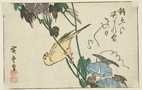 Canary and morning glories by Utagawa Hiroshige