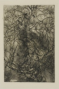Tree Branches by Rodolphe Bresdin