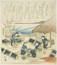 Hamagawa, from the series "A Record of a Journey to Enoshima (Enoshima kiko)" by Totoya Hokkei