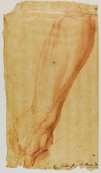 Left Arm of a Hunter by Bernard Baron