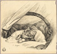 Cat Asleep in Basket by Auguste André Lançon