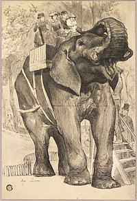 Elephant with Riders by Auguste André Lançon