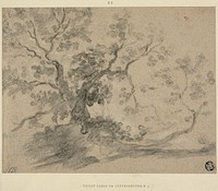 Trees by Philippe Jacques de Loutherbourg, II