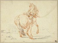 Riderless Horse by Charles Parrocel