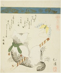 Cat Playing with a Toy Butterfly, from the series "Thirty-six Pictures of Birds (Sanjuroku kinzoku)" by Totoya Hokkei