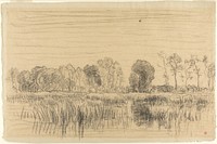 Marsh and Screen of Trees by Charles François Daubigny
