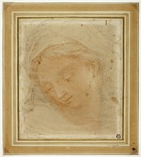 Woman's Head by Antonio da Correggio