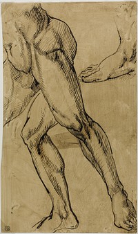 Legs and Feet of Male Nude by Michelangelo Buonarroti