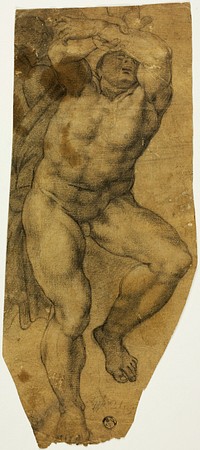 Ascending Male Nude by Michelangelo Buonarroti