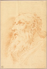 Head of Bearded Man by Style of Pietro Antonio Novelli