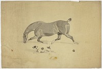 Running Horse and Dog by Abraham Cooper