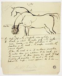 Sketch of Horse with Notations by Benjamin Robert Haydon