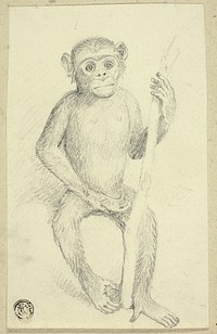 Orangutang by Edwin Henry Landseer