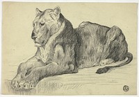 Lioness by Edwin Henry Landseer